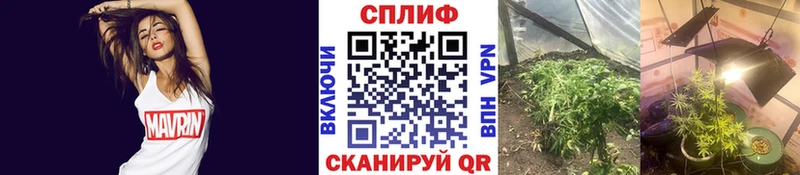 Где купить Грязовец ГАШИШ Альфа ПВП Мефедрон COCAIN